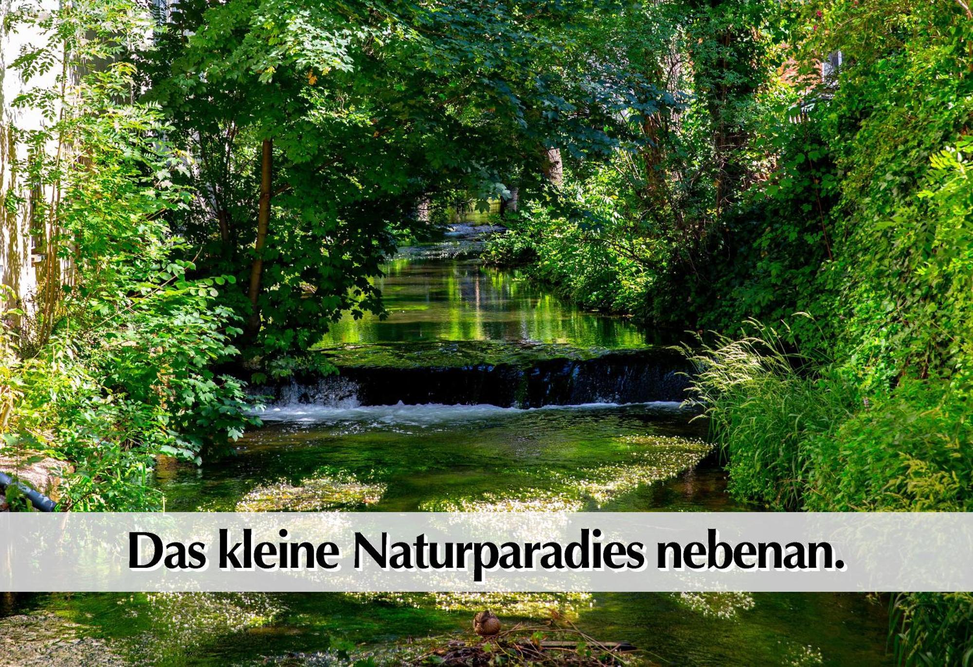 Stadtperle Am Plaetschernden Wasser - 50M2 2R Malerische Fewo In Top Lage Erfurt Zewnętrze zdjęcie